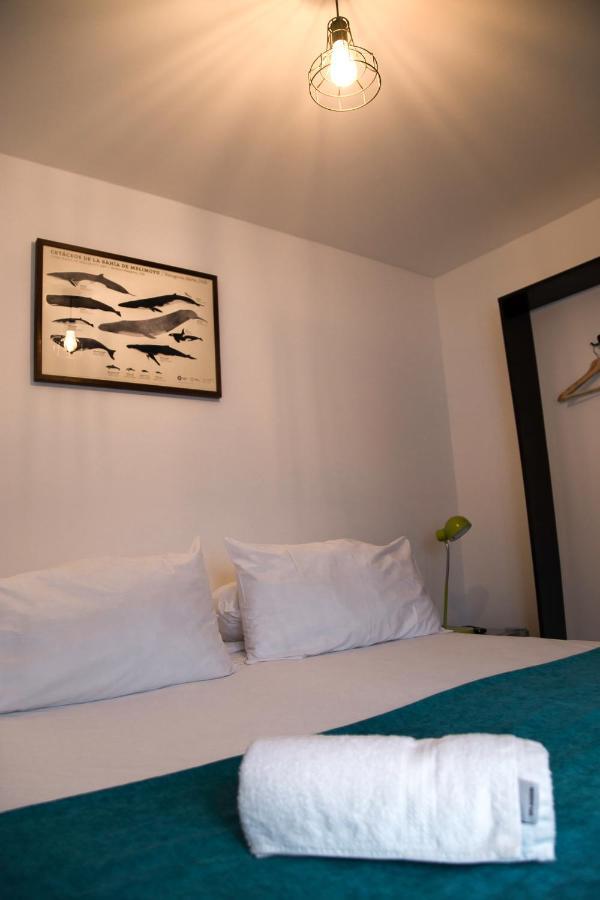 Hostal Boutique Terra Antarctica Punta Arenas Eksteriør billede