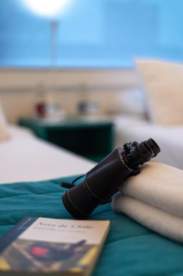 Hostal Boutique Terra Antarctica Punta Arenas Eksteriør billede